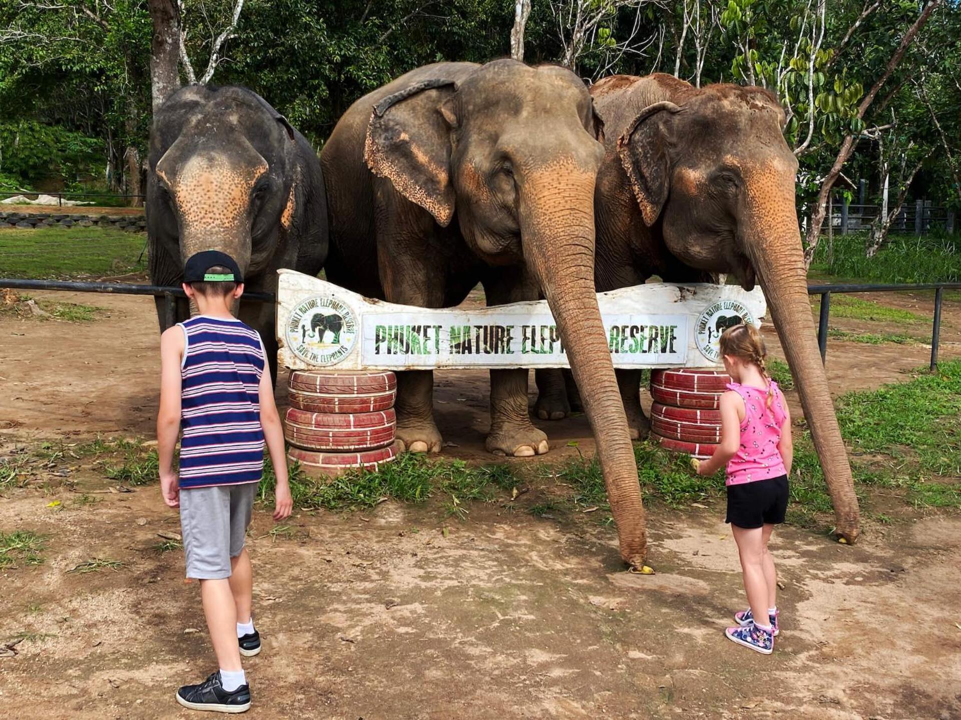 Snooze Inn Phuket - Free Shuttle To Bang Rong Pier Pa Khlok Ngoại thất bức ảnh
